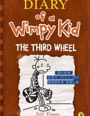 DIARY OF A WIMPY KID: THE THIRD WHEEL (BOOK 7 )