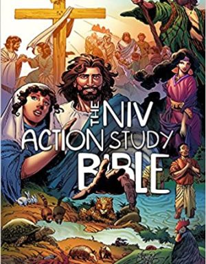 BIBLE THE NIV ACTION STUDY