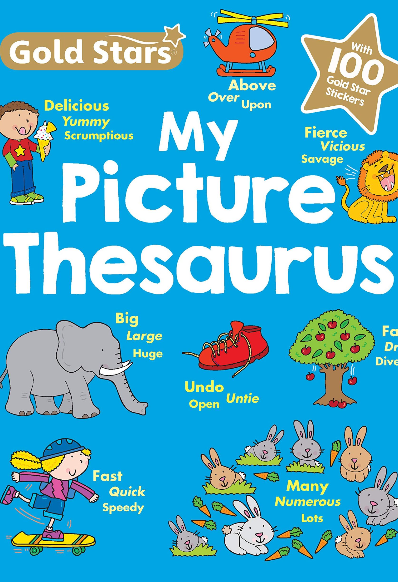 MY PICTURE THESAURUS