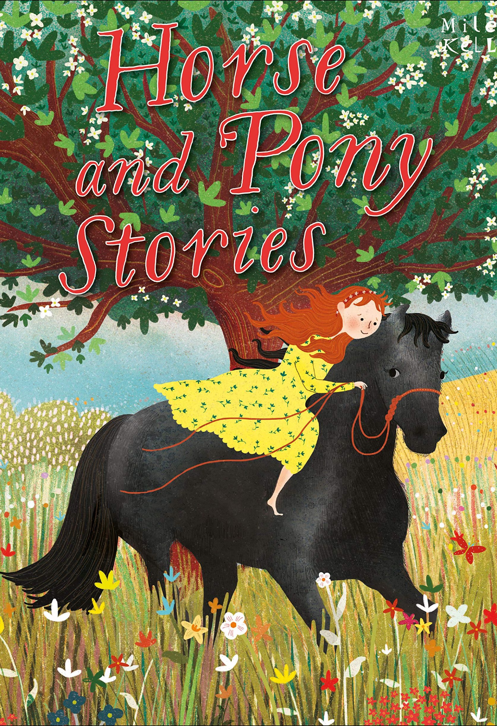 HORSE AND PONY STORIES
