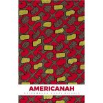 AMERICANAH ANKARA VERSION
