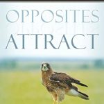 OPPOSITES ATTRACTS