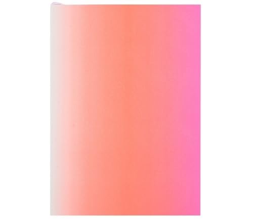 CHRISTIAN LACROIX NEON PINK OMBRE PASEO NOTEBOOK
