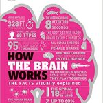 HOW THE BRAIN WORKS