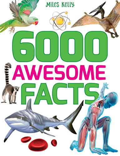 MK 6000 AWESOME FACTS