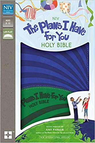 NIV THE PLANS I HAVE FOR YOU HOLY BIBLE (BLUE/GREEN)