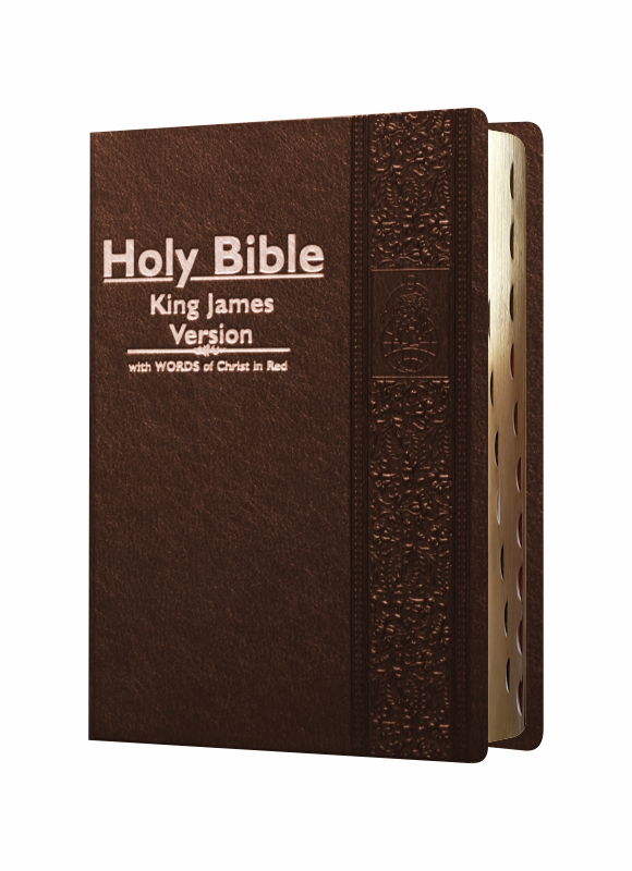 HOLY BIBLE: King James Version Plus concordance BSN 3749