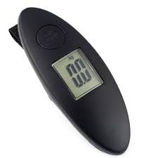 ELECTRONIC TRAVEL SCALES