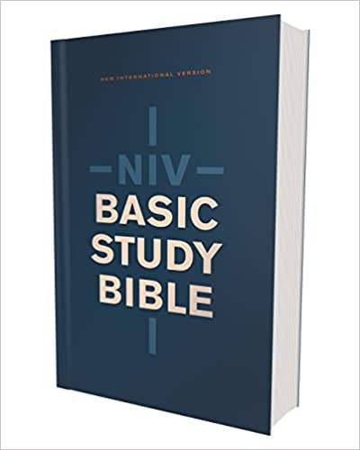 NIV BASIC STUDY BIB ECON SC