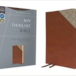 NIV THINLINE BIB LS