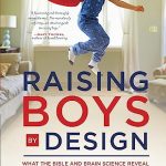 RAISING BOYS BY DESIGN