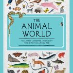 Z- ANIMAL WORLD
