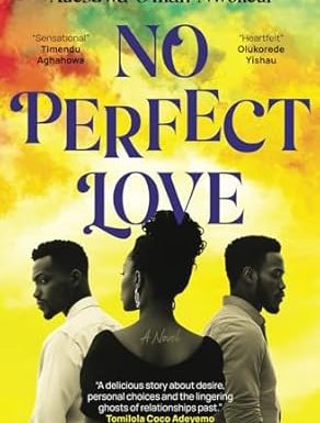 NO PERFECT LOVE BY ADESUWA O'MAN NWOKEDI